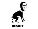 bushit.jpg